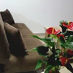 Palm Sea Suite 17