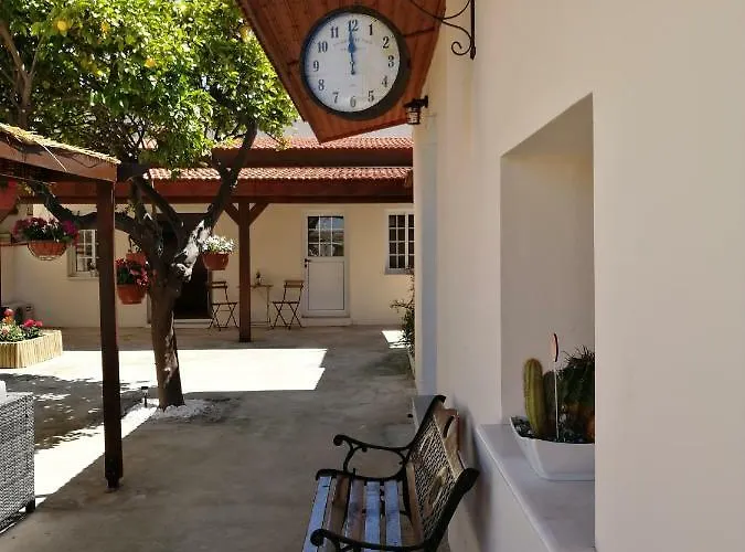 Lemon Tree Courtyard