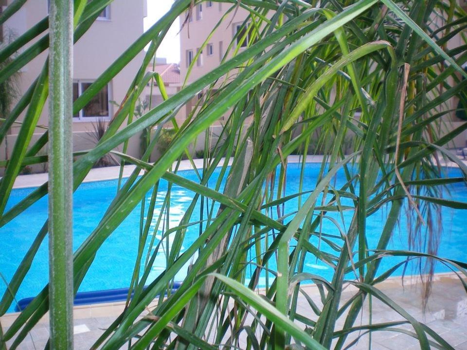 103 Elegant 2 Bed With Free Wifi, Ac, Pool & Gym! Apartment