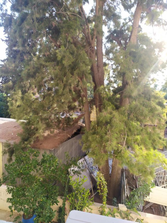 Cozy 2 Bedroom Apartment Larnaca