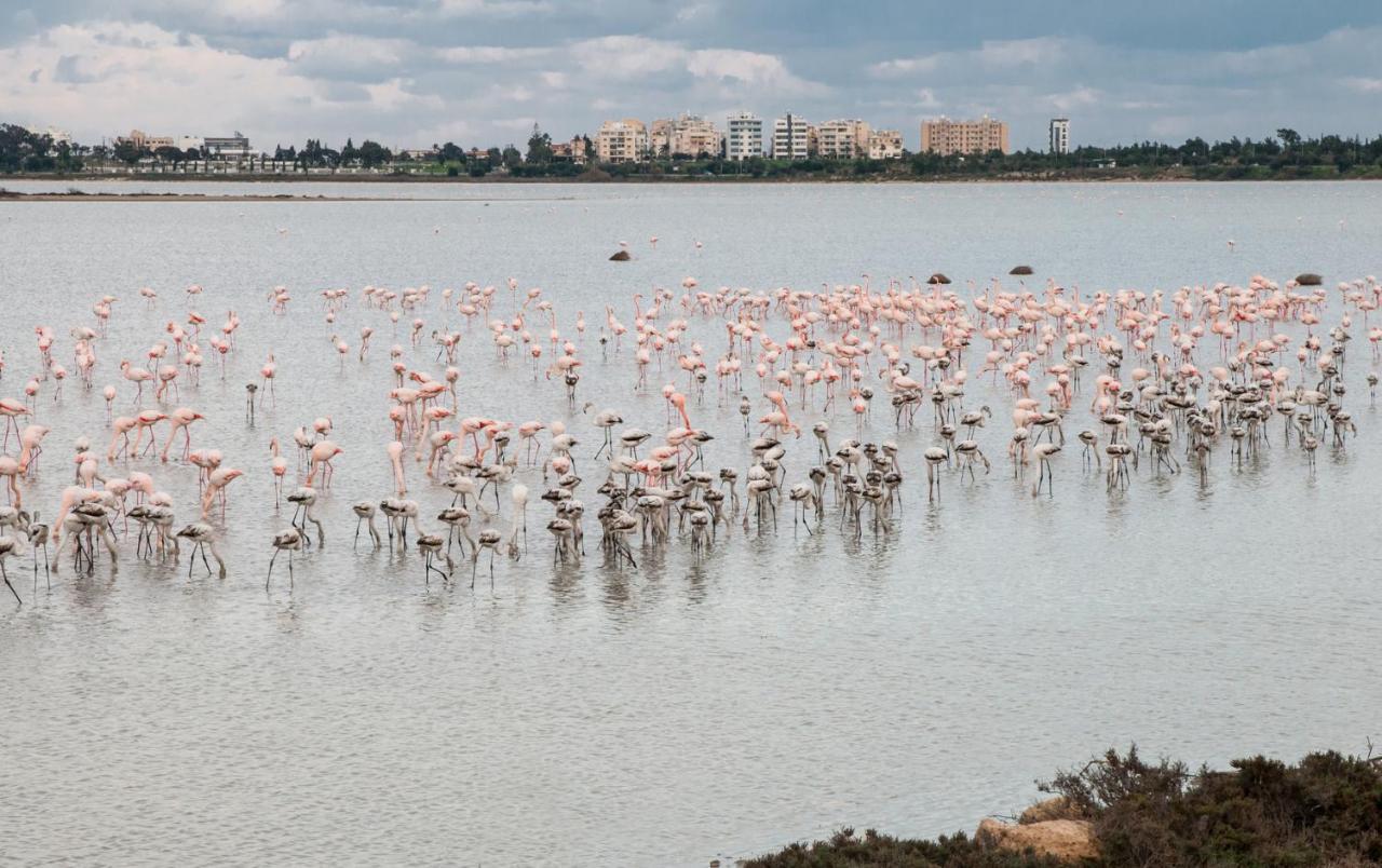 Promenade Breeze Larnaca