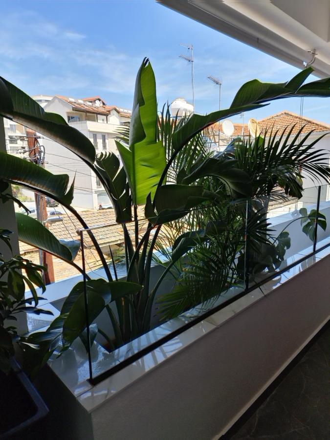 Carisa Deluxe With Jacuzzi Apartment