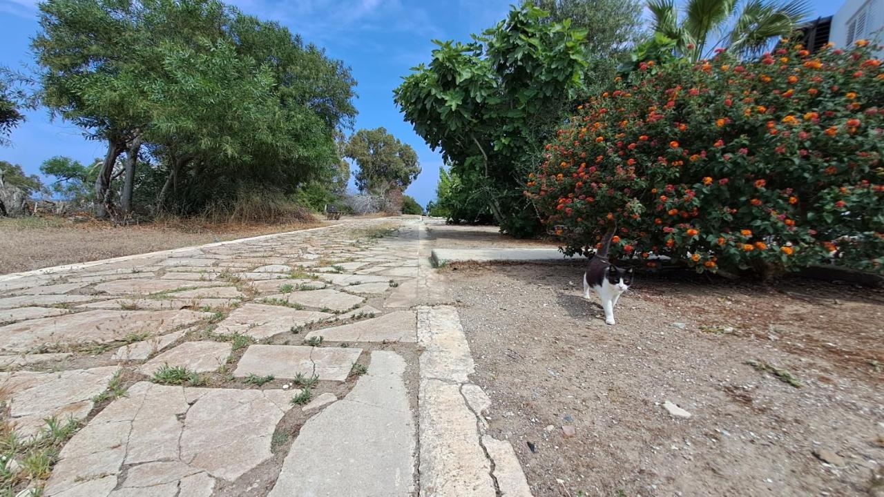 Yialos Cozy Beach House * Lárnaca