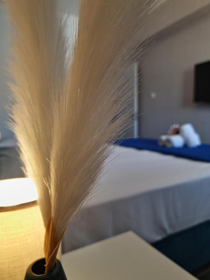 Apartment Carisa Deluxe With Jacuzzi Larnaca