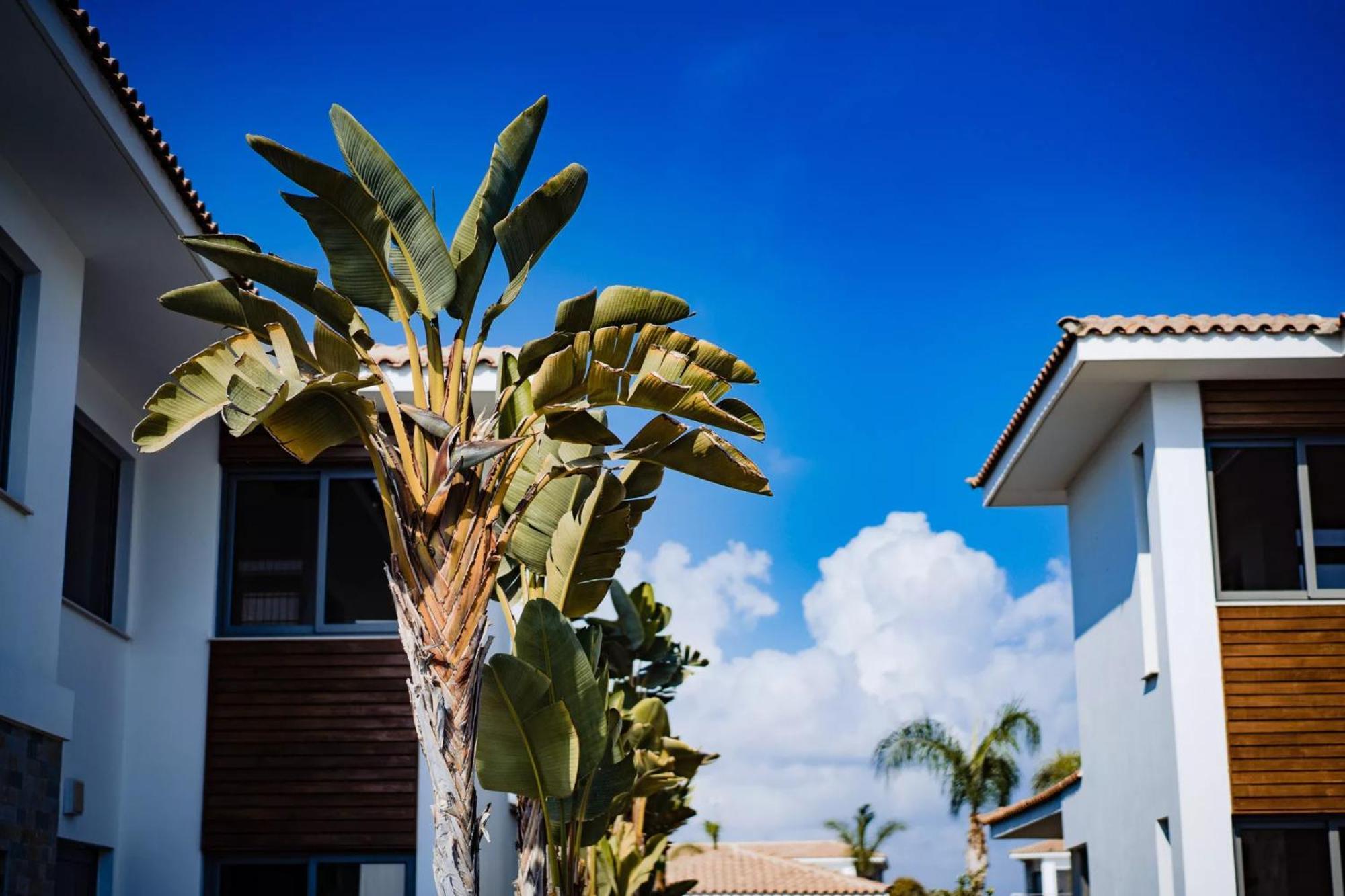 Luxury Beachfront With Private Pool, Yoga & Sea Adventures Holiday home Larnaca