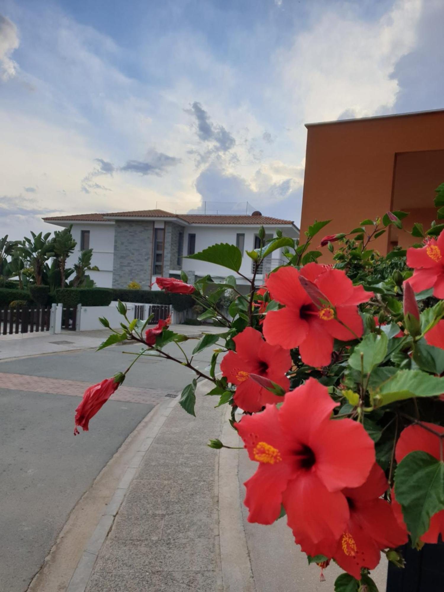 Holiday home Luxury Beachfront With Private Pool, Yoga & Sea Adventures Larnaca