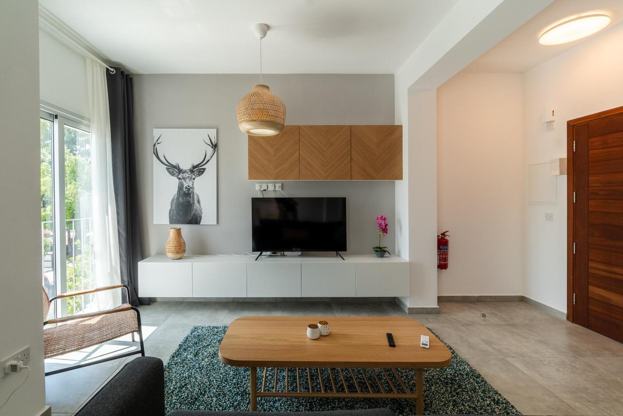 Apartment Kition *