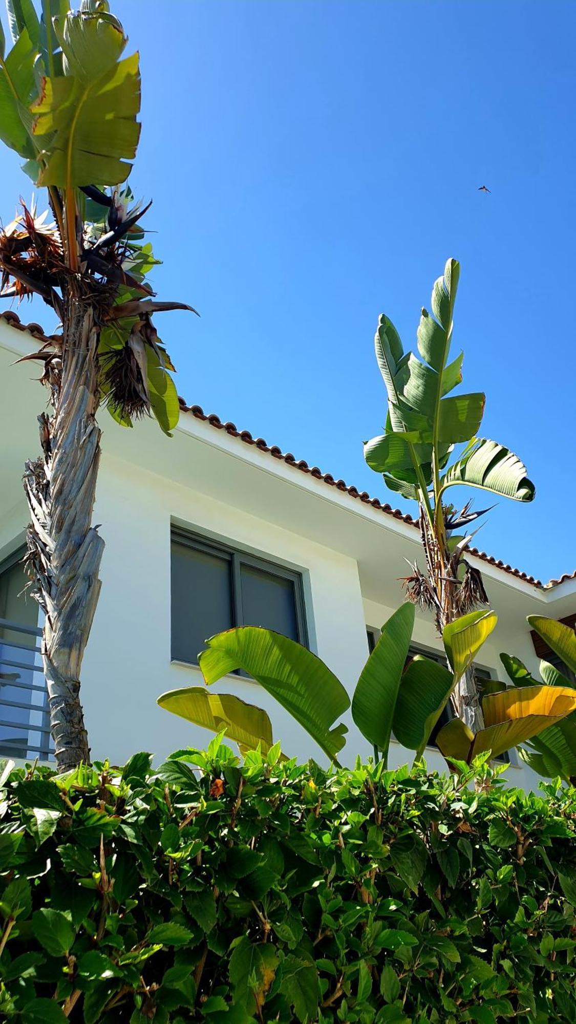 Luxury Beachfront With Private Pool, Yoga & Sea Adventures * Larnaca