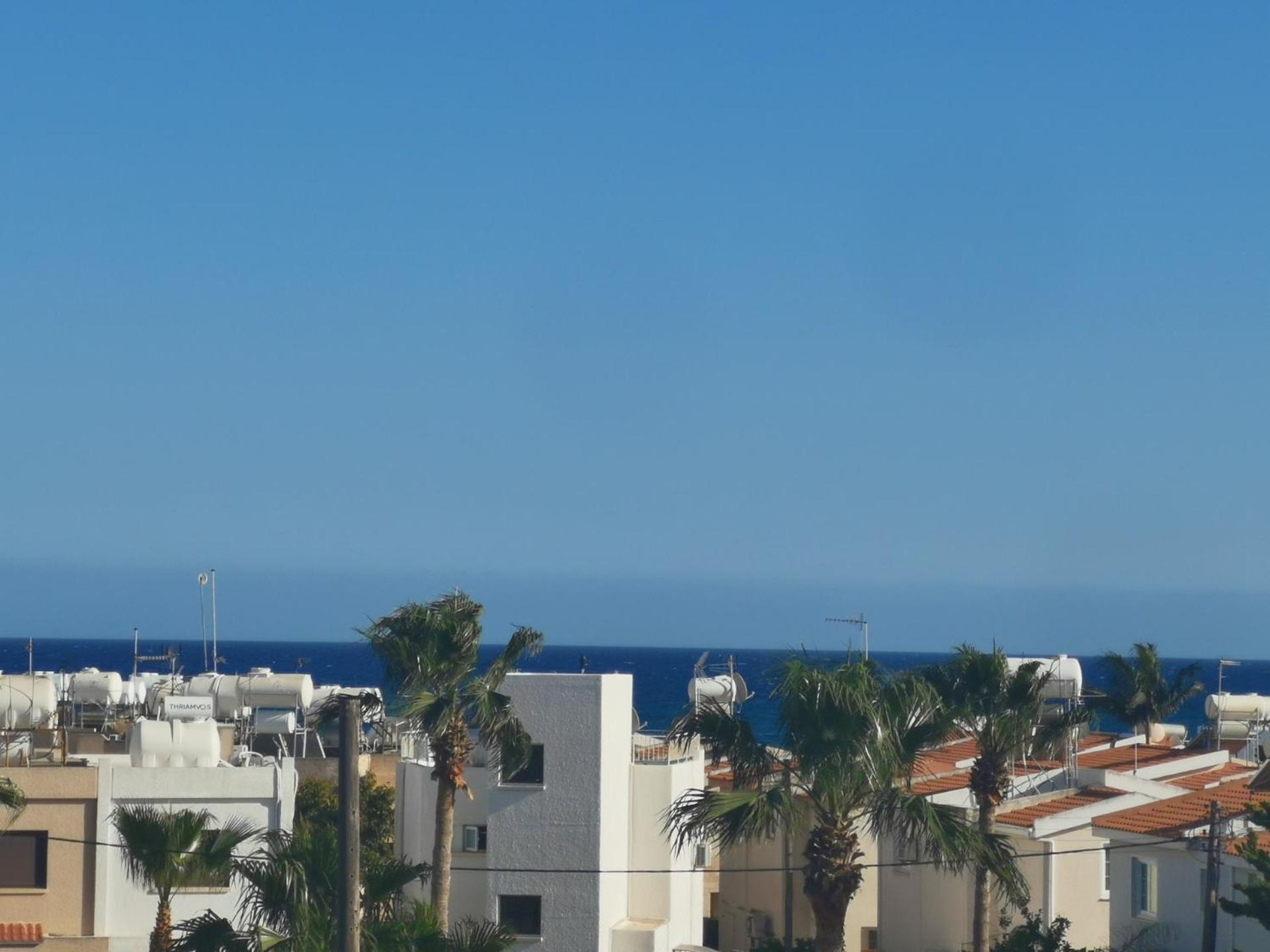 Boronia * Larnaca