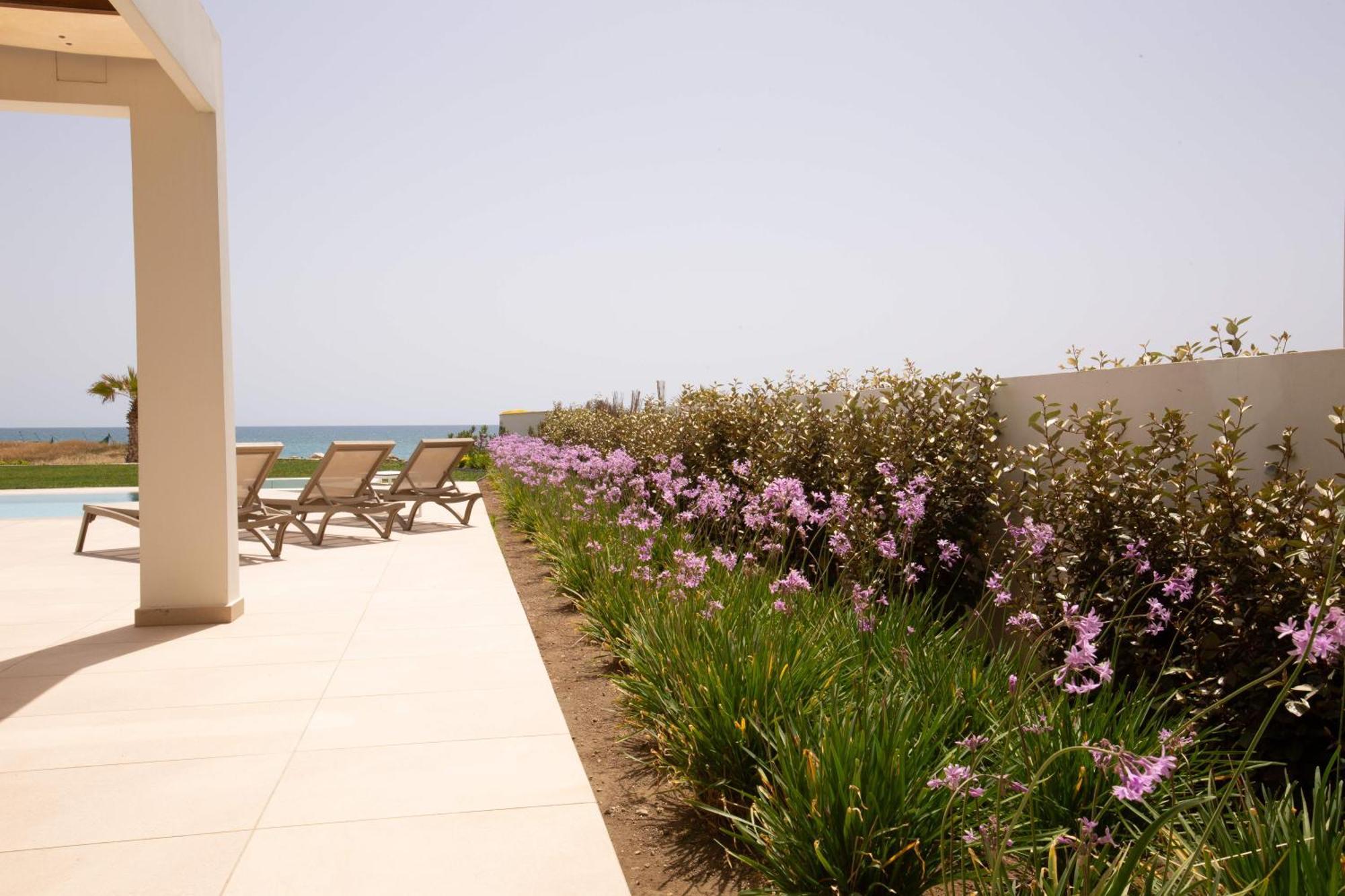 Phaedrus Living Serenity Waves No 5 *