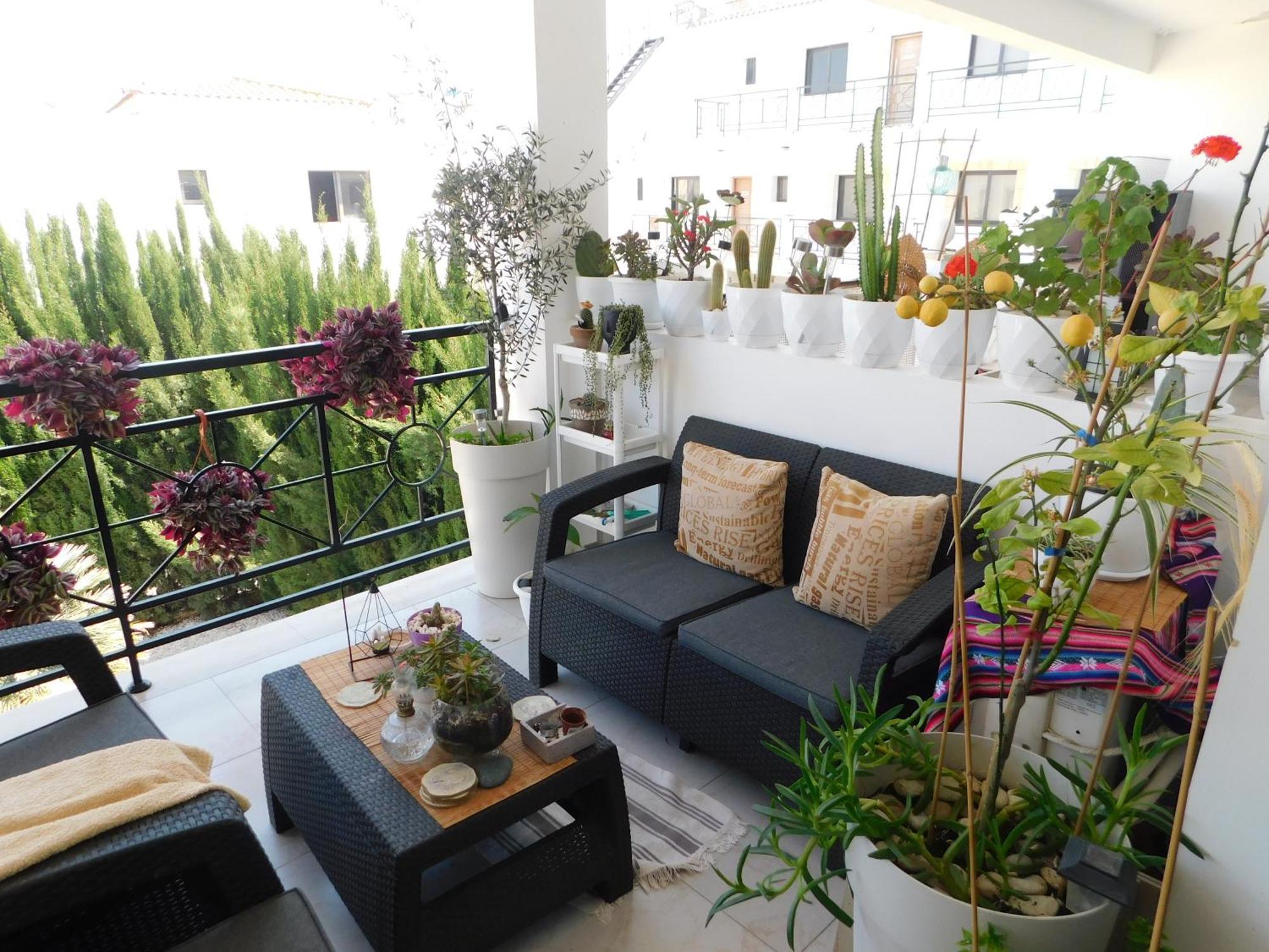Apartamento Paramount Gardens C202