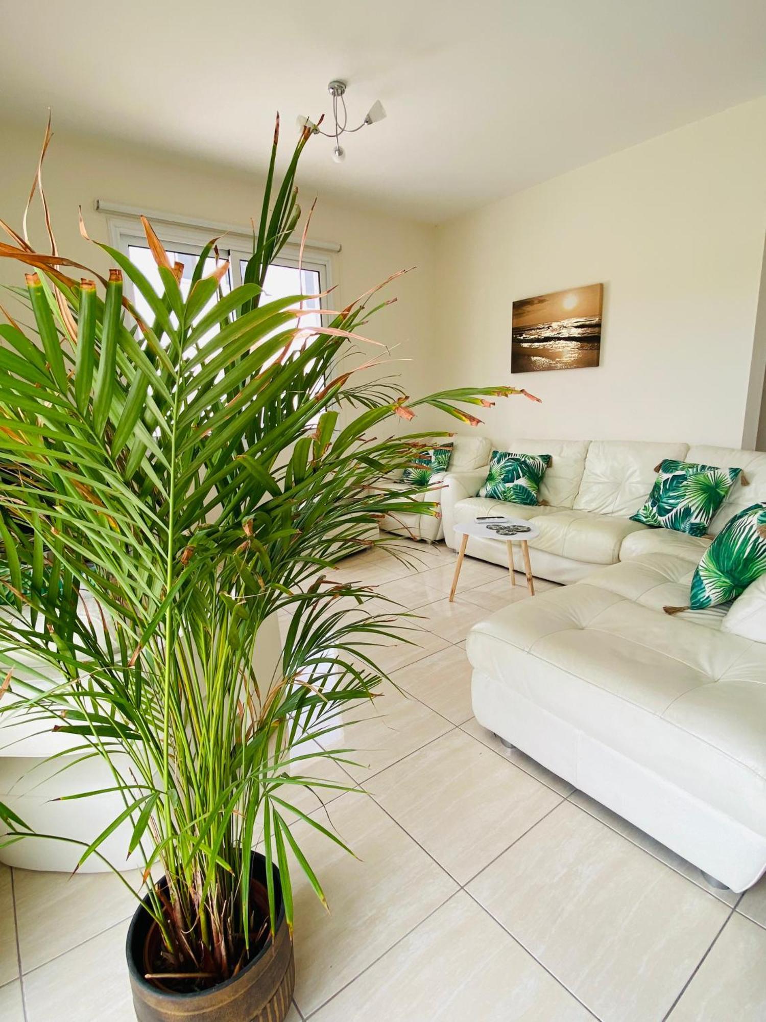 Villa Athena *