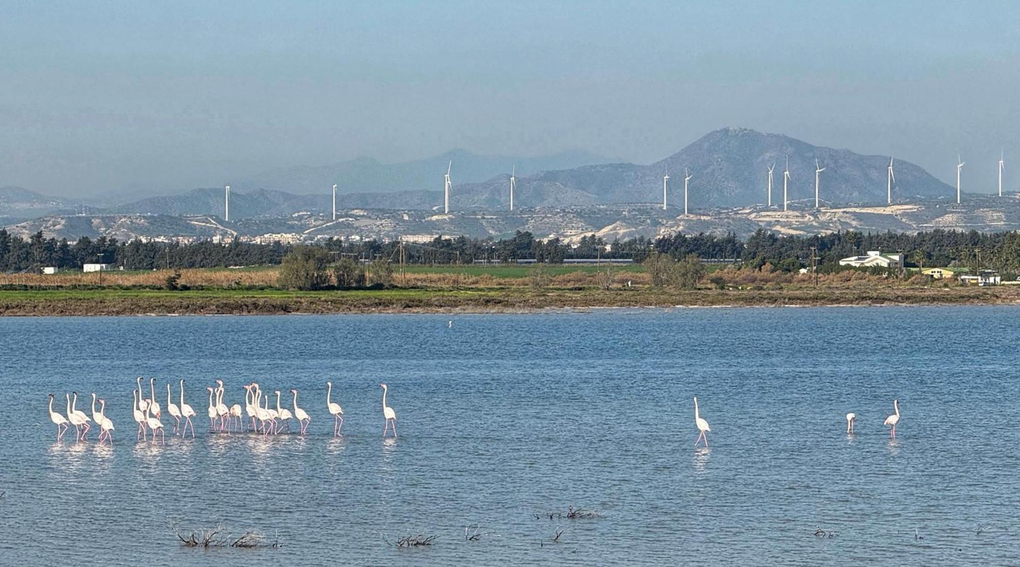 Yialos Village By Cybarco Larnaca