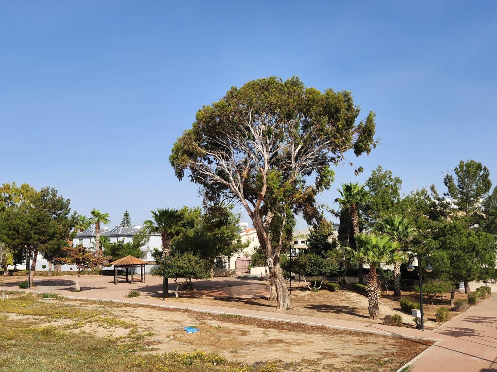Kafkalia Sea Breeze Holiday home Larnaca