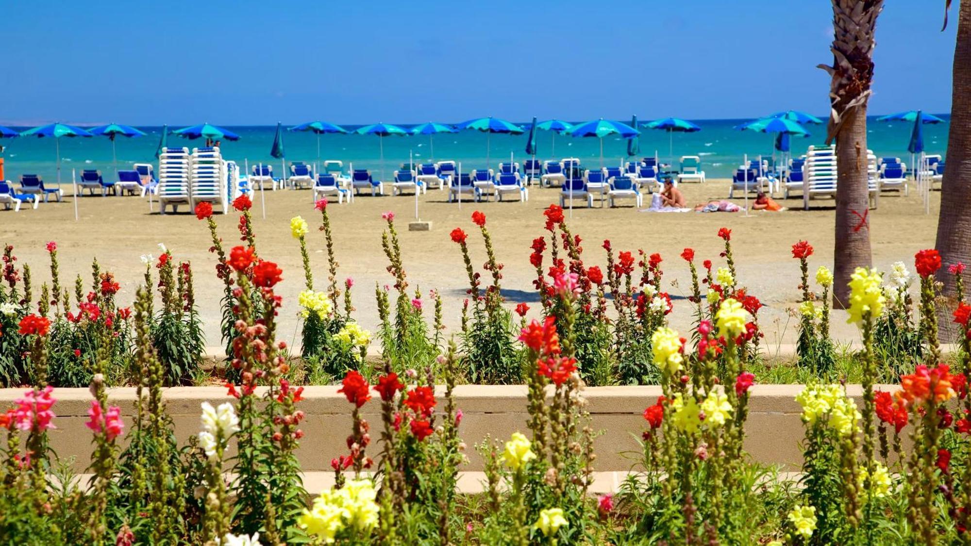 Modern Apartment Larnaca