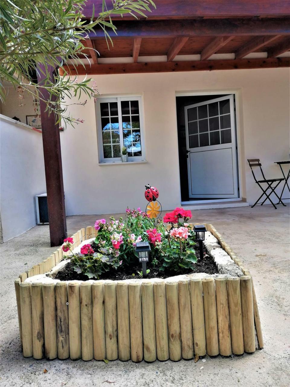 Lemon Tree Courtyard *