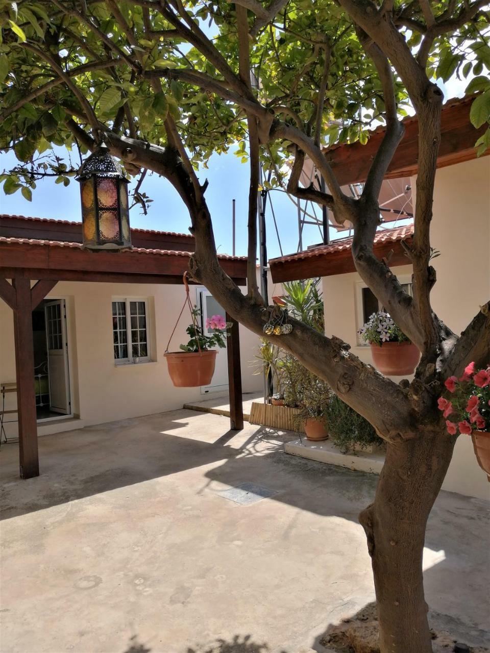 Lemon Tree Courtyard Holiday home *
