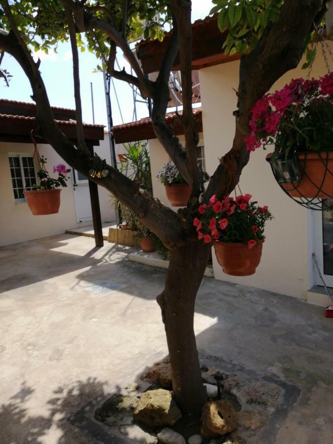 Lemon Tree Courtyard * Larnaca