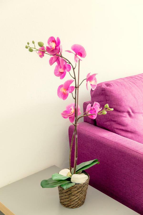 Savvas Centre Flat Apartment