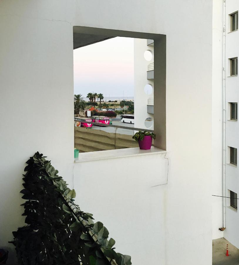 Avgoulla * Larnaca