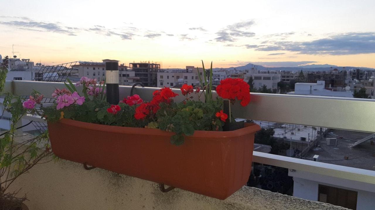 Alkaeos & Homestay Larnaca