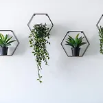 Amazonia Flat 102