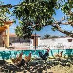 Reel Paradise Villa, Cyprus