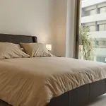 Halcyon Central Apartment