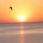Finikoudes Sunrise Sea View Lux