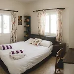 Ammos Beachfront Villa Paradise