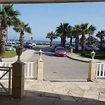 Zorbas No 2