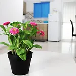 Duplex Comfort Apartments