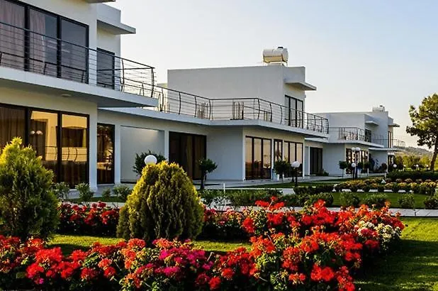 Cosmopolis Multi-Venue