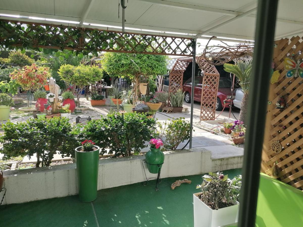 Entire Prefabricated Garden Flat 1350m From Beach Apartment Larnaca