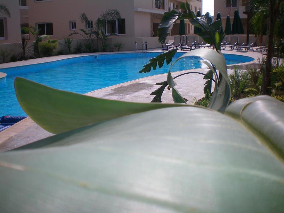 103 Elegant 2 Bed With Free Wifi, Ac, Pool & Gym! Apartment Larnaka