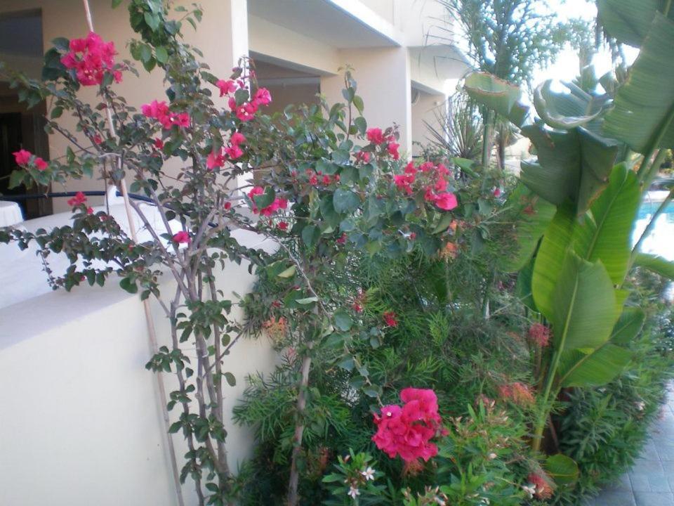 103 Elegant 2 Bed With Free Wifi, Ac, Pool & Gym! Apartment Larnaca