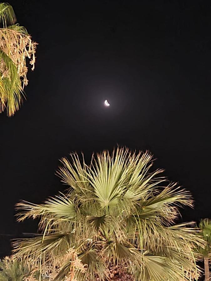 Ithaki Phinikoudes No. 202 Larnaca