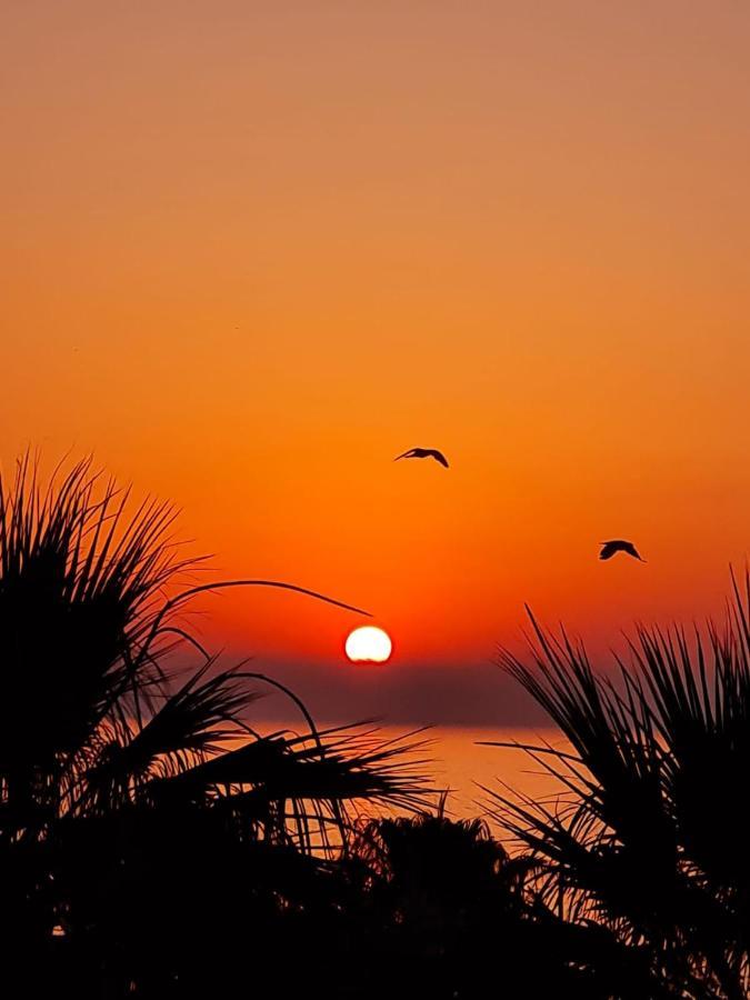 Alex 503 * Larnaca