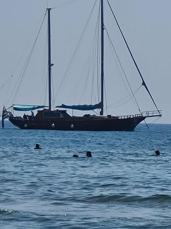 Alex 32 * Larnaka