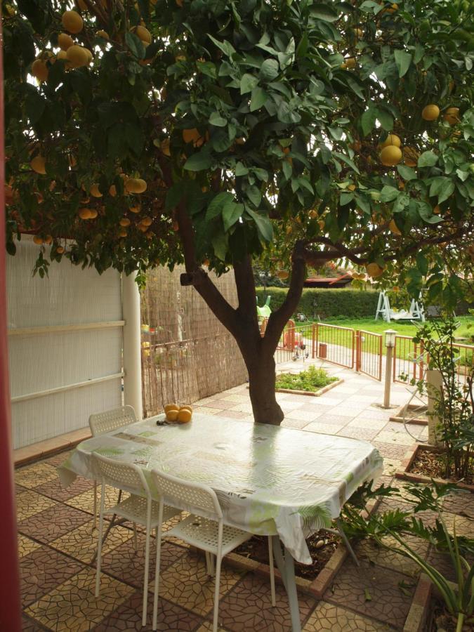 Moon-light Studio Guest house *