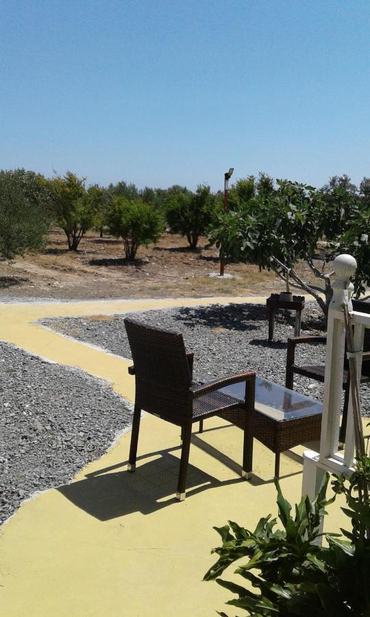 Mersinera Paradise Garden Stars House * Larnaca