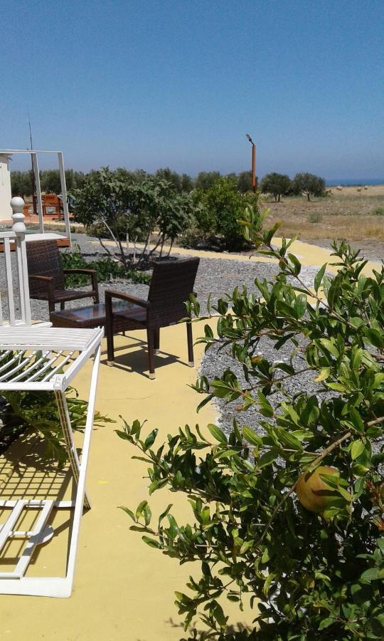 Mersinera Paradise Garden Stars House Larnaca