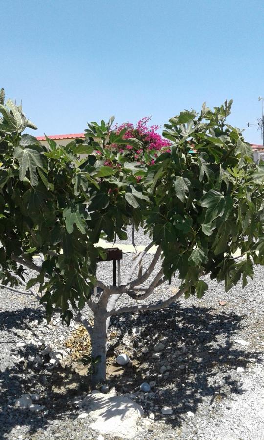 Holiday home Mersinera Paradise Garden Stars House