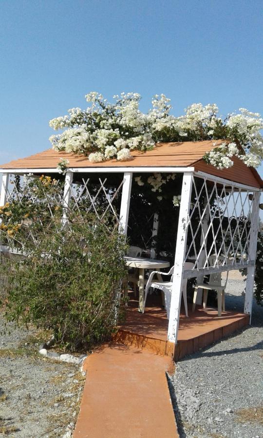 Mersinera Paradise Garden Stars House