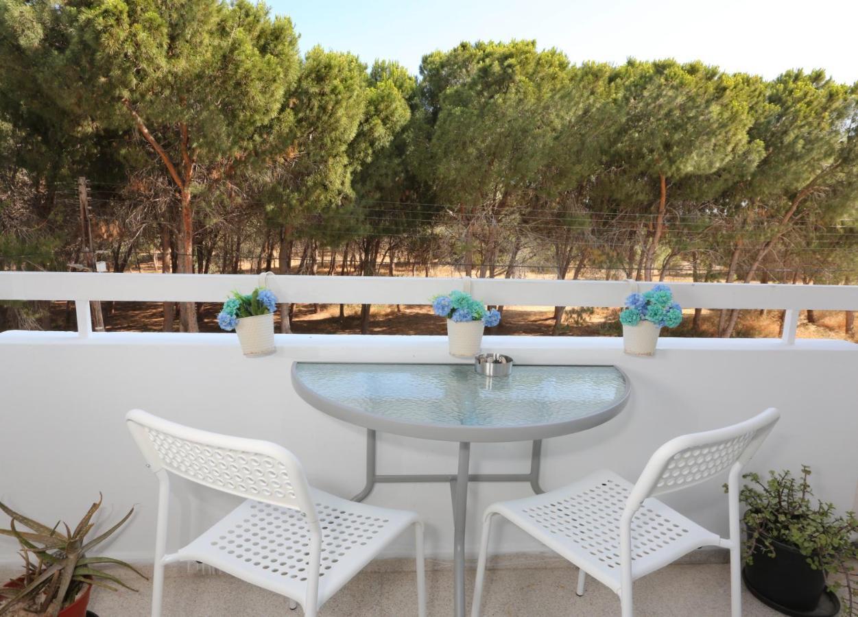Cozy In Near Foinikoudes * Larnaca