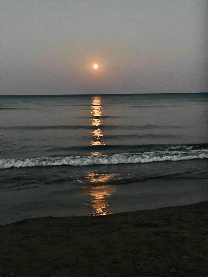 Bali 404 * Larnaca