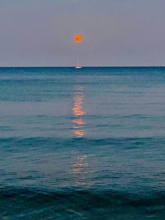 Bali 404 Larnaca