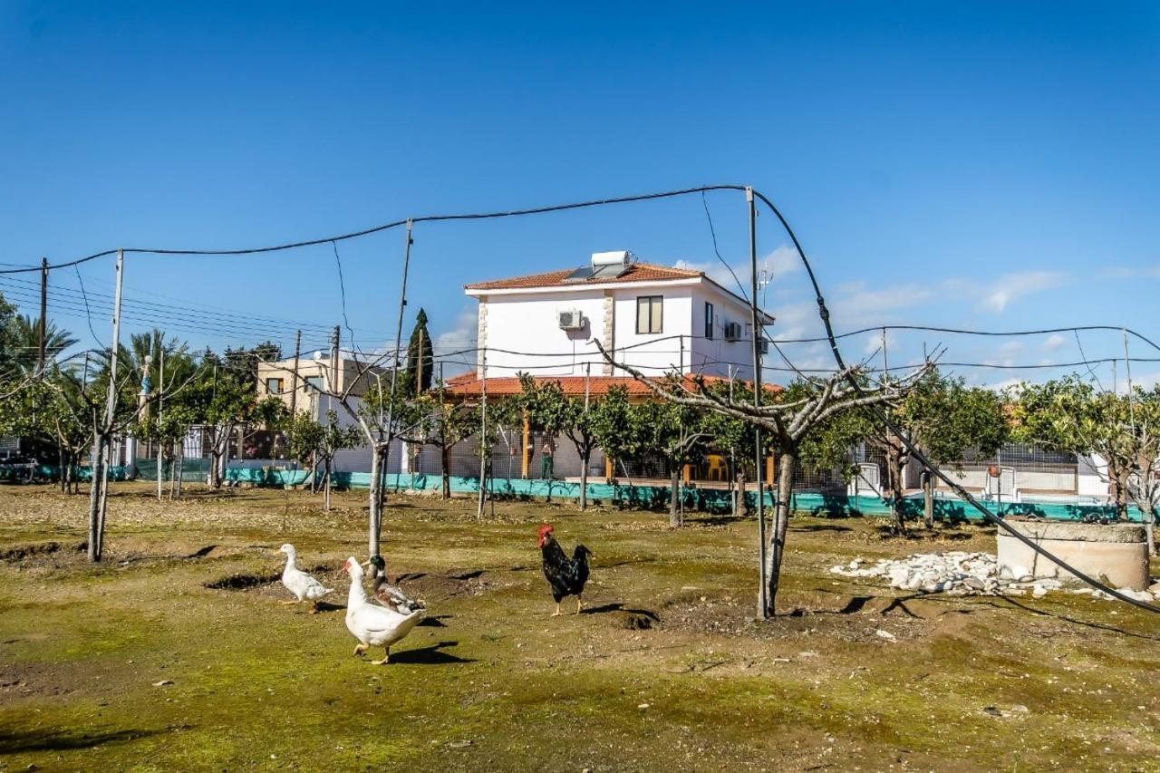 Reel Paradise Villa, Cyprus