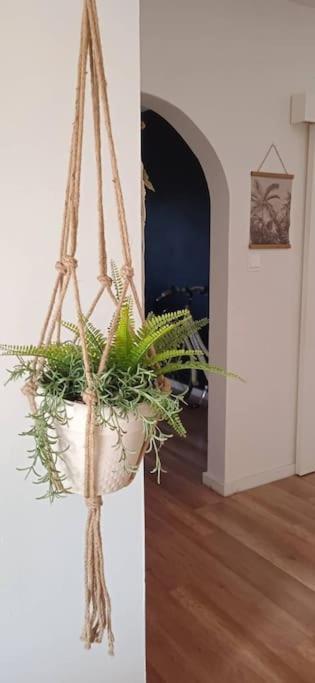 Villa Jonty Villa, Mazotos Larnaca