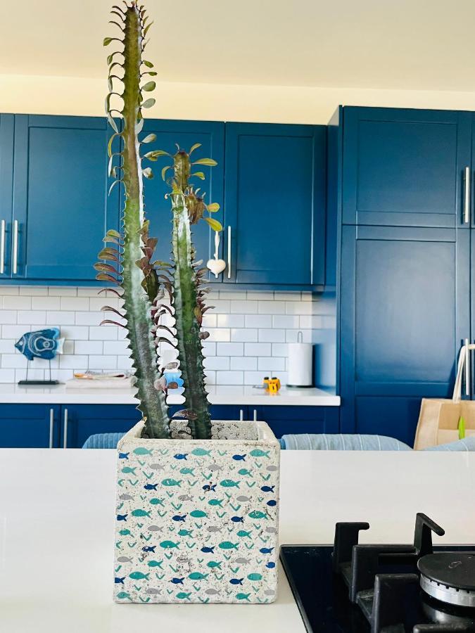 Villa The Blue House